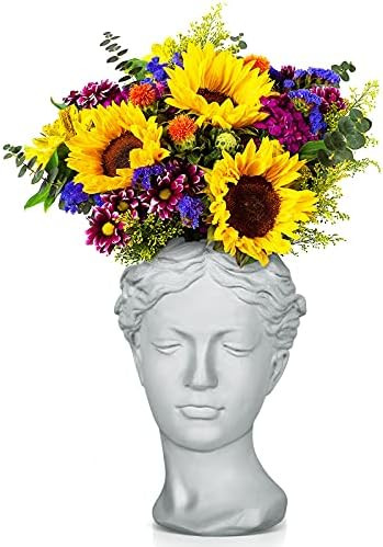 Face Planter Pot Head Planter Pot Female Statue Head Planter, 10.5" Cement Woman Face Pot for Indoor | Amazon (US)