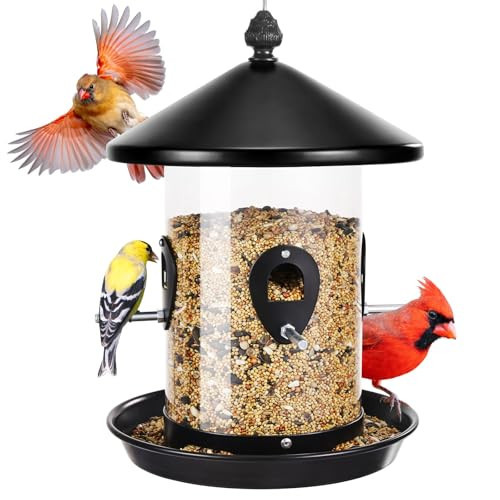Kingsyard 4.5-Cups Large Metal Bird Feeders for Outdoors Hanging with 8 Ports, Tube Bird Feeder with Seed Tray, Weatherproof Chew Proof Roof for Cardinal Finch, Black | Amazon (US)