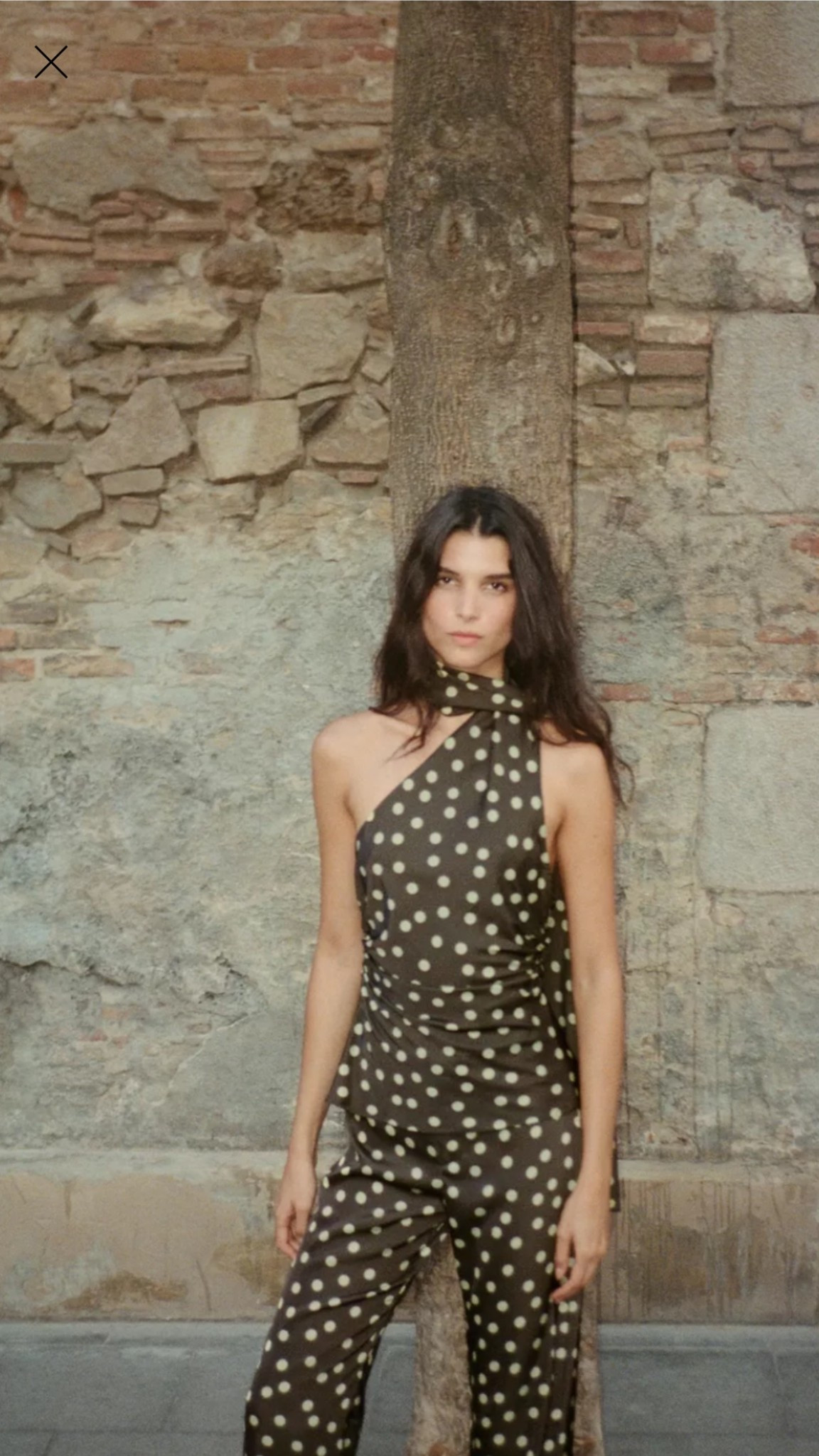 Such a cute set and under $100 . . . 
Will pair with my cream “Chanel” jacket from Ann Mashburn . . . 
|
#arebelinprada #olive #polkadots #sets 

#LTKFindsUnder100 #LTKFindsUnder50 #LTKStyleTip