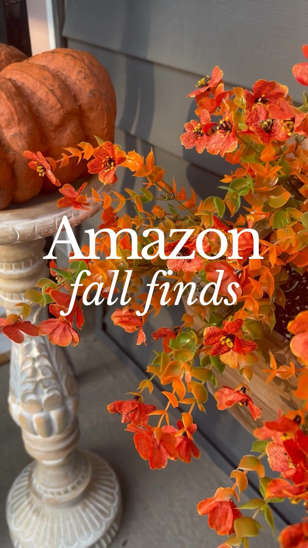 Did somebody say fall?! 🍁🍂 Most of these Amazon finds are for the kitchen and under $15 (I love a good deal). Dont even get me started on how much I love those countertop junk boxes - that find deserves a whole reel all to itselfl. 

Anyway, here’s a few of my favorite finds in under 40 seconds. 

#fauxplant #faketree #fallstyling #falldecor #falldecorations #dealoftheday #bestdeal #laborday #labordaysales #labordaysale #homedecor #homestylingideas #fallhomedecor #fallhomedecor #ltkunder50 #ltkhome #ltkhomedecor #stealsanddeals #affordabledecor #amazon #amazonfinds #amazonmusthaves #cheapfinds #labordayweekend #stlouisinfluencer #bestsellers #amazonbestseller #amazonbestsellers #amazon2024 #ltkfindsunder50

#LTKFallSale #LTKHome #LTKSeasonal