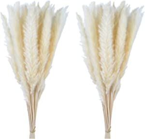 60 Pcs Pampas Grass 18” ,Dried Pompous Grass Pompass Branches for Vase Flower Arrangement Weddi... | Amazon (US)