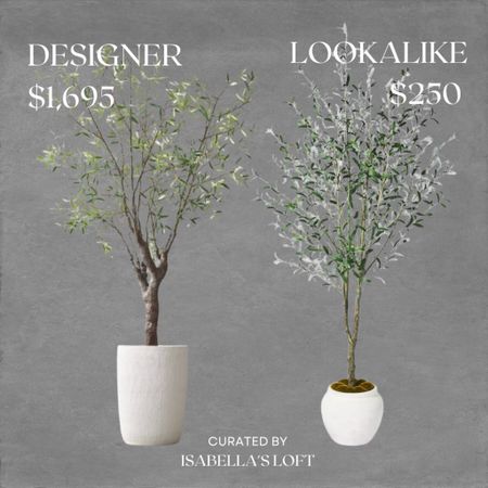 Designer VS Lookalikee