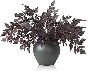 Lyrow 6 Pack 18 Inches Artificial Cimicifuga Plant Leaf Spray Faux Plum Cimicifuga Ramosa Leaf Br... | Amazon (US)