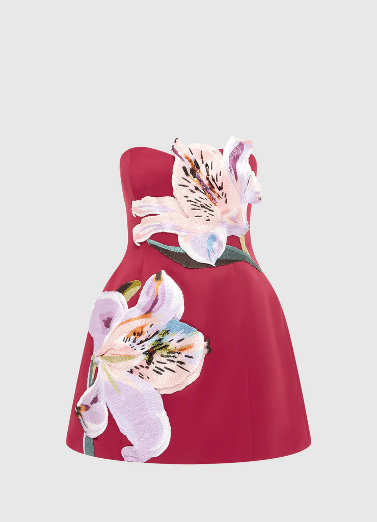 Rosario Appliqué Floral Bustier Mini Dress - Lily Print in Oxblood | LEO LIN