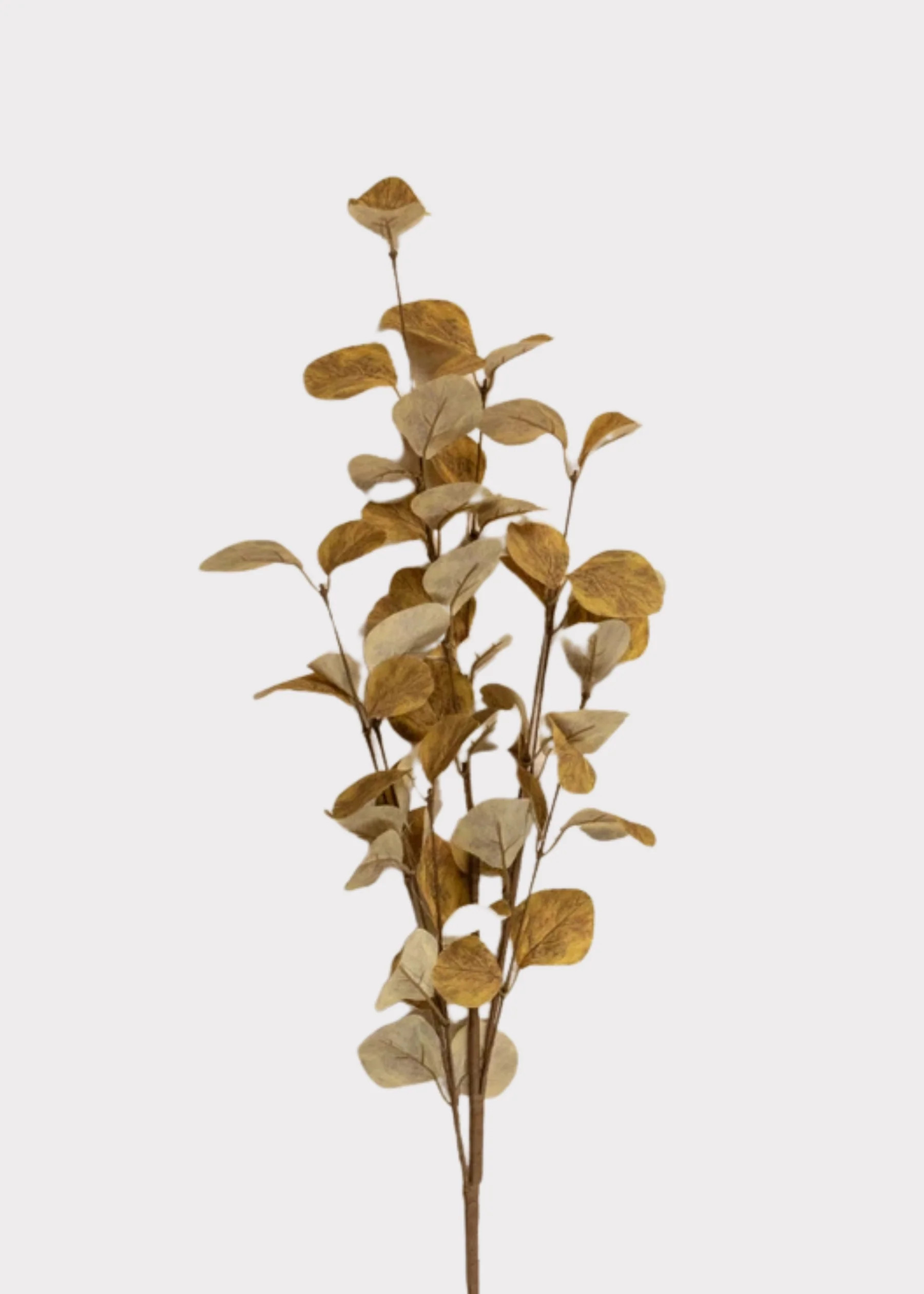Autumn Yellow Artificial Eucalyptus Leaf Branch - 34.5" | Afloral