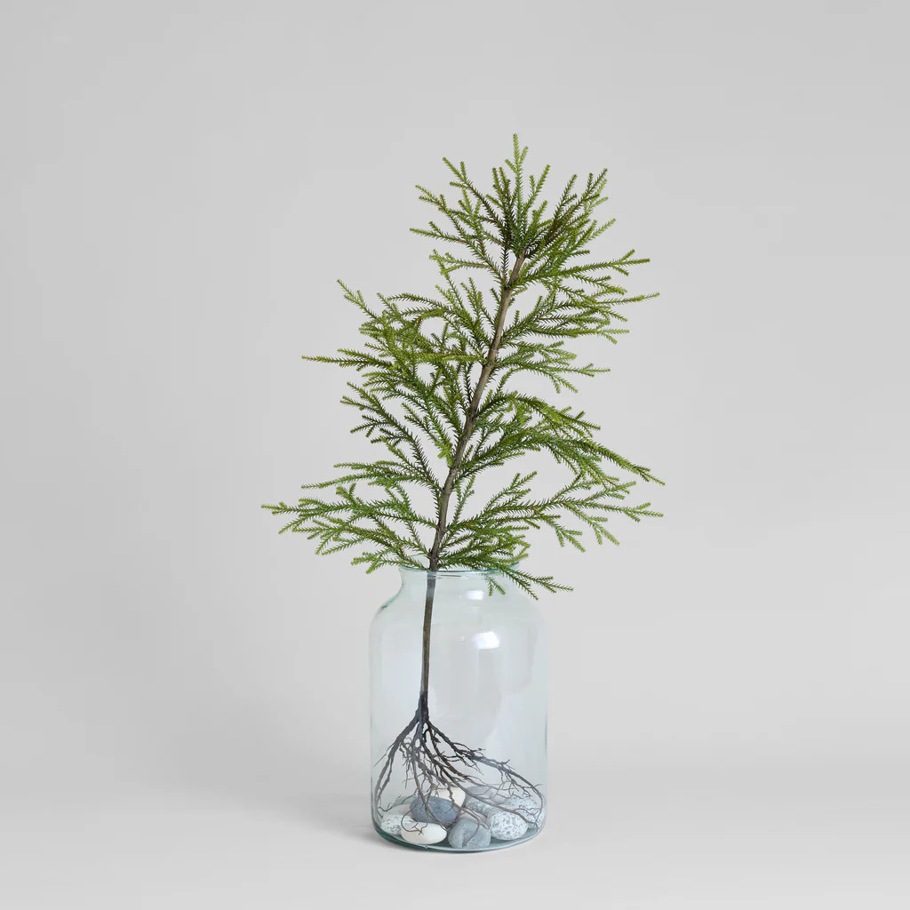 EcoFaux Norfolk Pine with Roots | Bloomist
