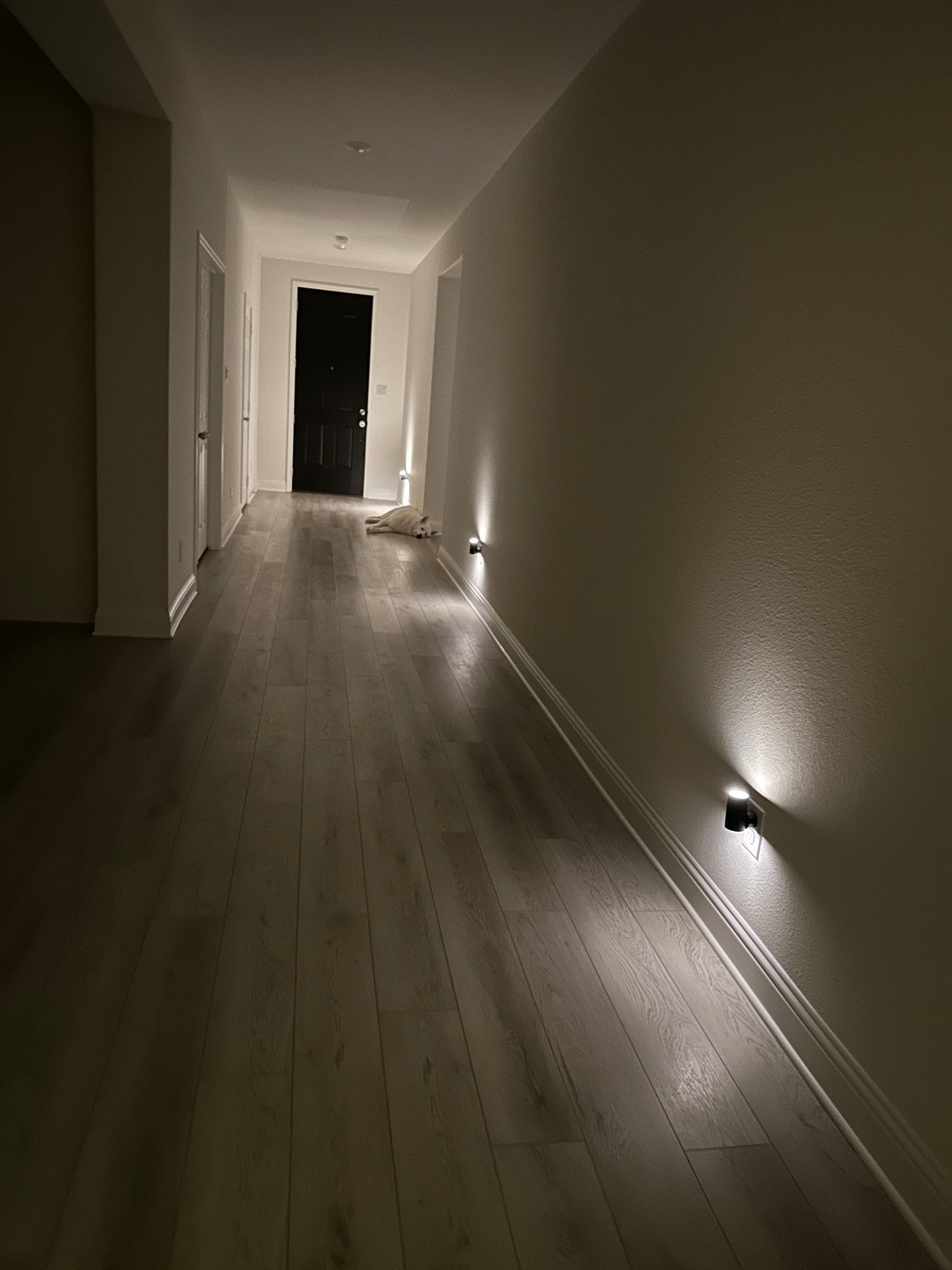 These plug in night lights are an absolute GAME CHANGER for our house. You get 4 of them for under $20 right now!!! HOW is that possible. Anyway, these are dimmable, can even be sideways if you wanted them to, and are just a great way to light a dark space in your house. They have a sensor so they turn off when it’s not dark! It’s GREAT to have too on the nights when I have to go to the kids rooms in the middle of the night  Such a win and such a STEAL!!!! Not to mention they really just look incredible  

#LTKHome #LTKSaleAlert #LTKFamily