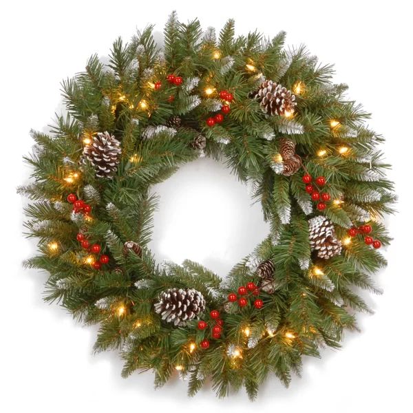 Frosted Berry Lighted PVC Wreath | Wayfair North America