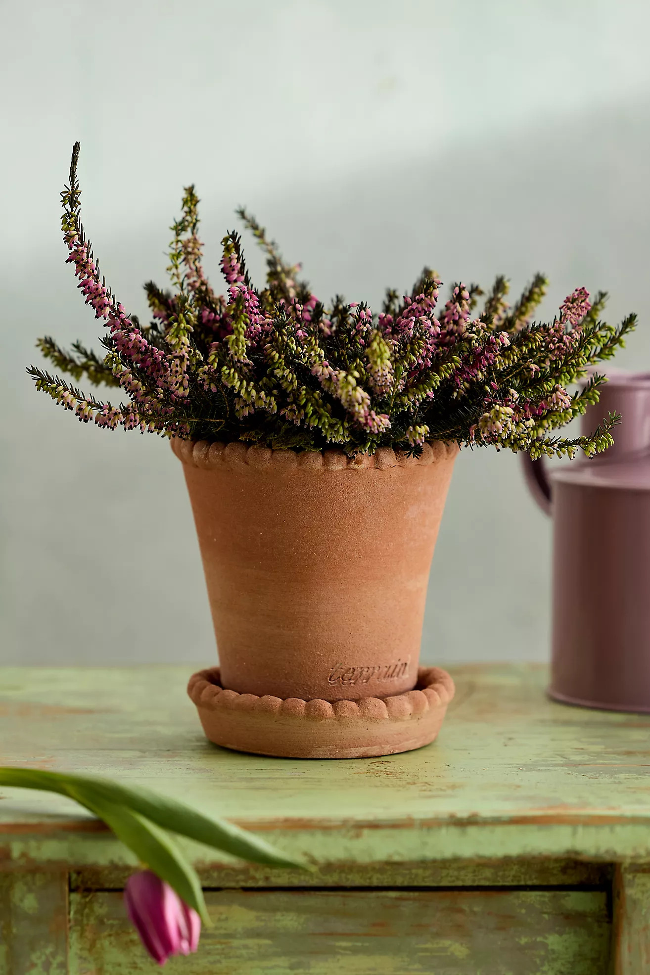 Beaded Rim Galestro Pot + Saucer Set | Terrain