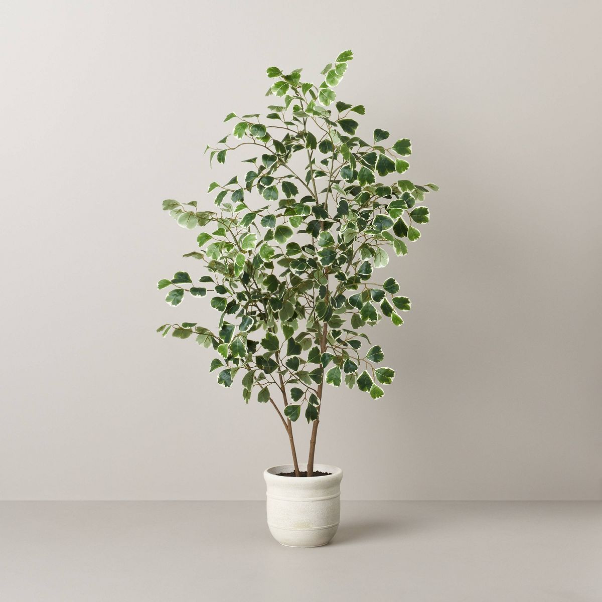 55" Faux Variegated Triangle Ficus Tree - Hearth & Hand™ with Magnolia | Target