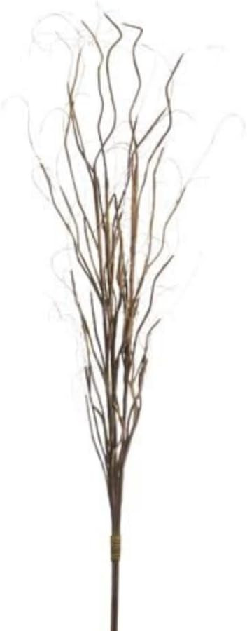 Curly Willow | Amazon (US)