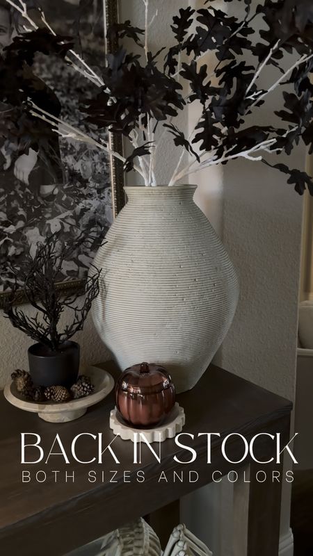 My vases are back in stock! All sizes and colors!! 
#moderndecor #restockalert #stoneware #texturedvase #neutralhomedecor

#LTKSeasonal #LTKsalealert #LTKhome
