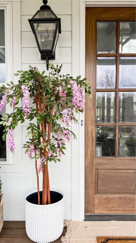Spring Front Porch Sneaky peek!! Loving these wisteria trees! Also linked a few more budget friendly options! Back in stock! Front porch and front door decor large white fluted planter trending viral home decor pottery barn dupe look a like look for less artificial faux plants trees flowers florals greenery modern farmhouse southern porch lantern, outdoor light fixtures, wall sconces lighting

#LTKSeasonal #LTKstyletip #LTKhome