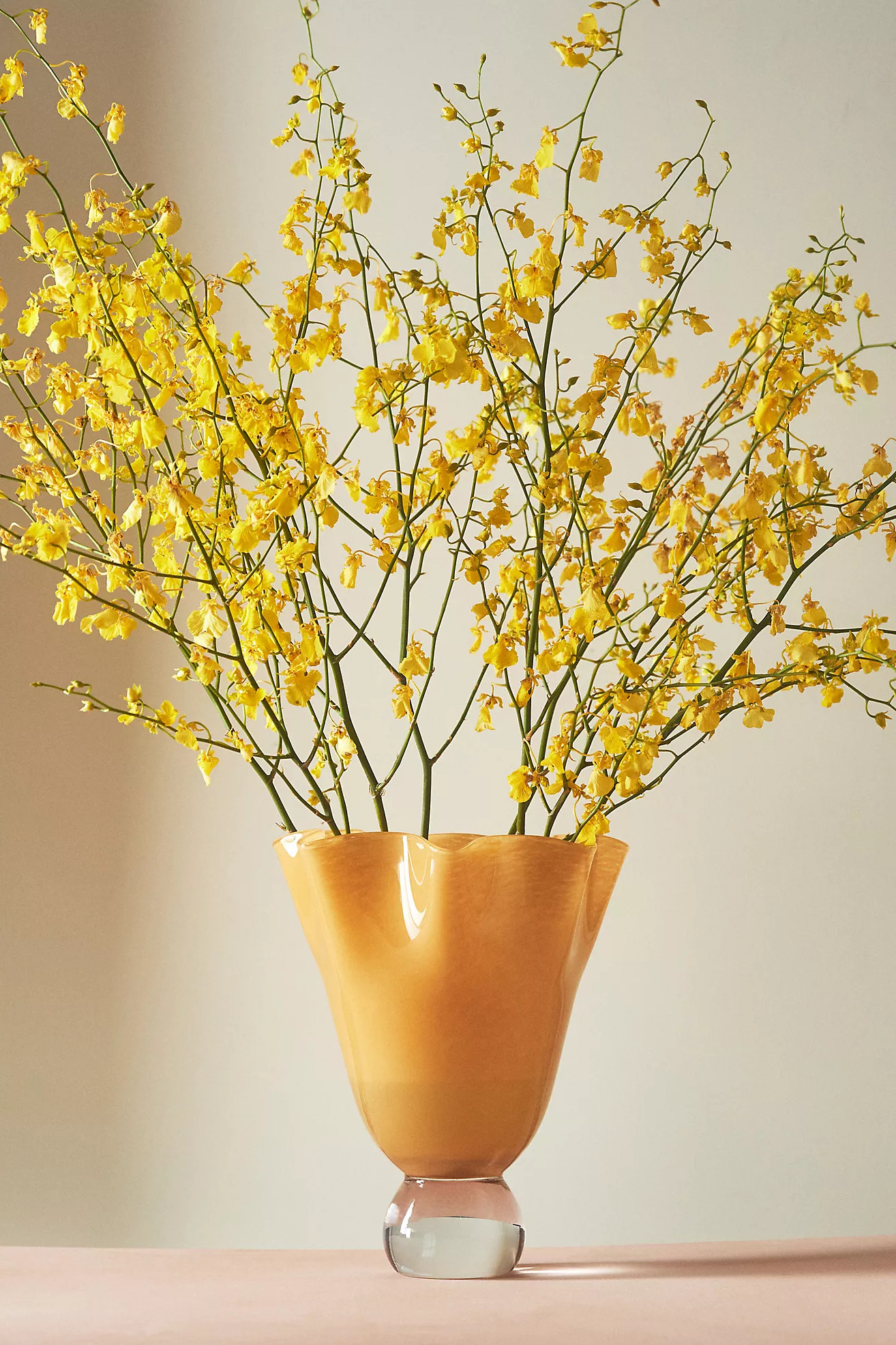 Hellen Glass Vessel | Anthropologie (US)