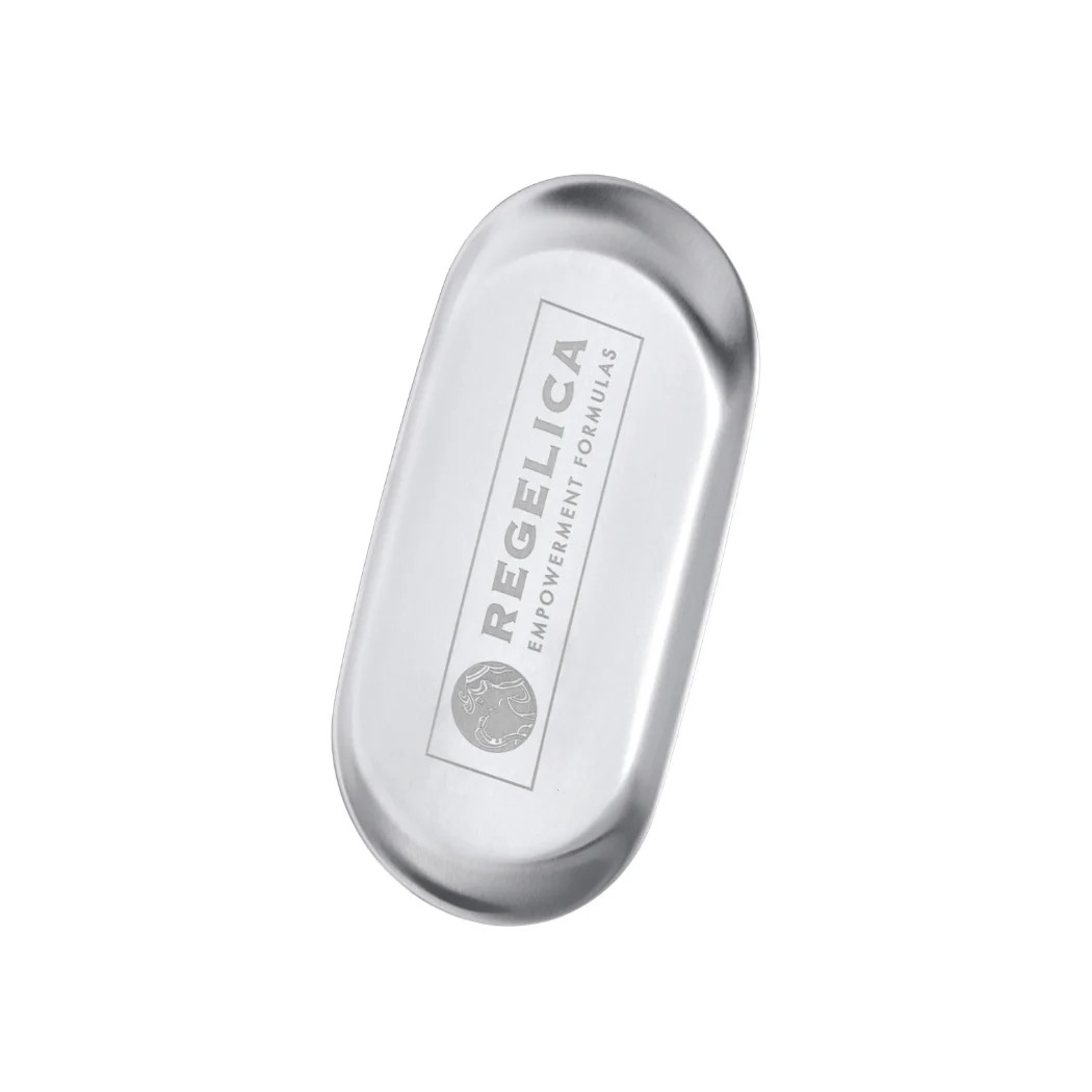 Stainless Steel Vanity Tray | Regelica