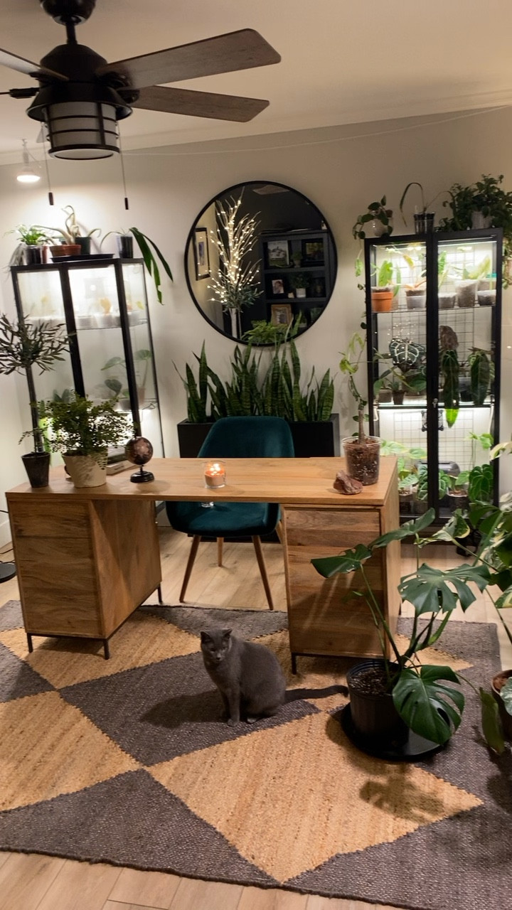 Add plants for a pop of color to natural  home decor

#LTKfindsunder50 #LTKhome #LTKVideo