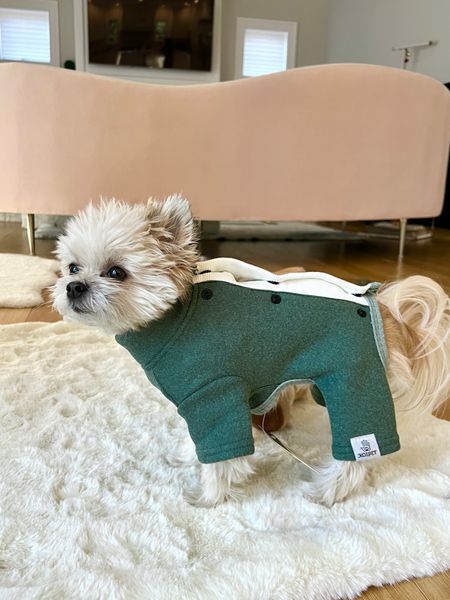 Finally, clothes that fit my extra small 4lb dog. The snaps on the back make it so much easier to dress him! 

Dog clothes, teacup dog, gifts for dog

#LTKfindsunder50 #LTKHoliday #LTKGiftGuide