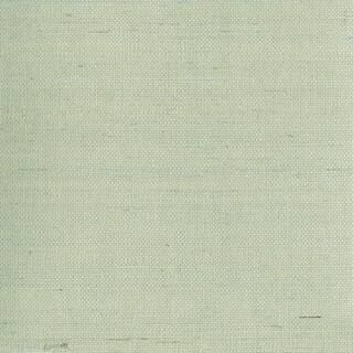 Kenneth James Mugen Light Green Grasscloth Peelable Wallpaper (Covers 72 sq. ft.) 2693-30232 - Th... | The Home Depot