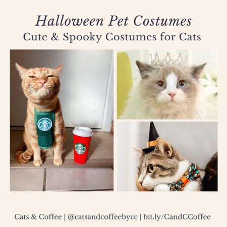 Spooky & Sweet Halloween Costumes for Pets - Halloween costumes can be so much fun, whether it is for kids, adults, or even pets. Halloween costumes for pets are some of my favorites, though. Here are a handful of the cutest pet costumes for dogs and cats this spooky season, available conveniently from Chewy, Amazon, and Etsy:

#LTKfamily #LTKHalloween #LTKSeasonal