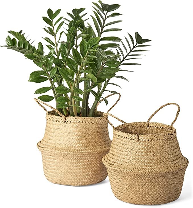 Artera Woven Seagrass Plant Basket - Pack of 2, Wicker Belly Basket Planter Indoor with Plastic L... | Amazon (US)