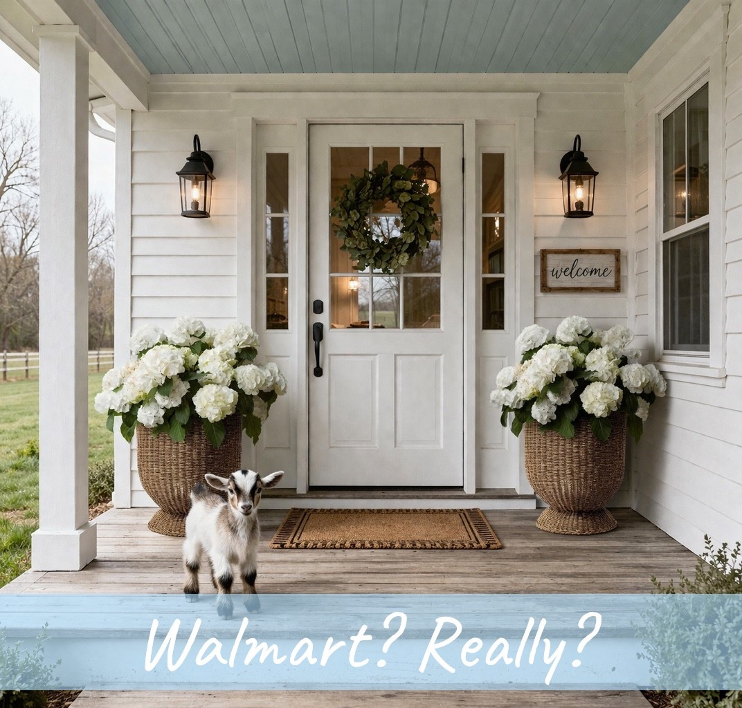 You won’t have to worry about these resin outdoor (or indoor) planters this summer. They look like wicker but without the hassle of wicker. 
#Walmartfinds
#Outdoorpatiorefresh

#LTKHome #LTKSeasonal