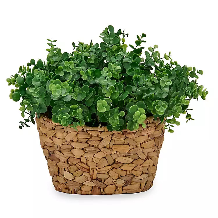 New! Oversized Spiral Eucalyptus Arrangement | Kirklands