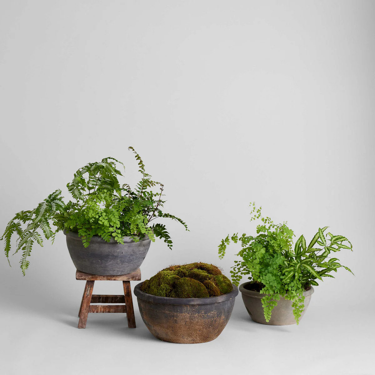Vintage Grey Planter, Medium | Bloomist, Inc