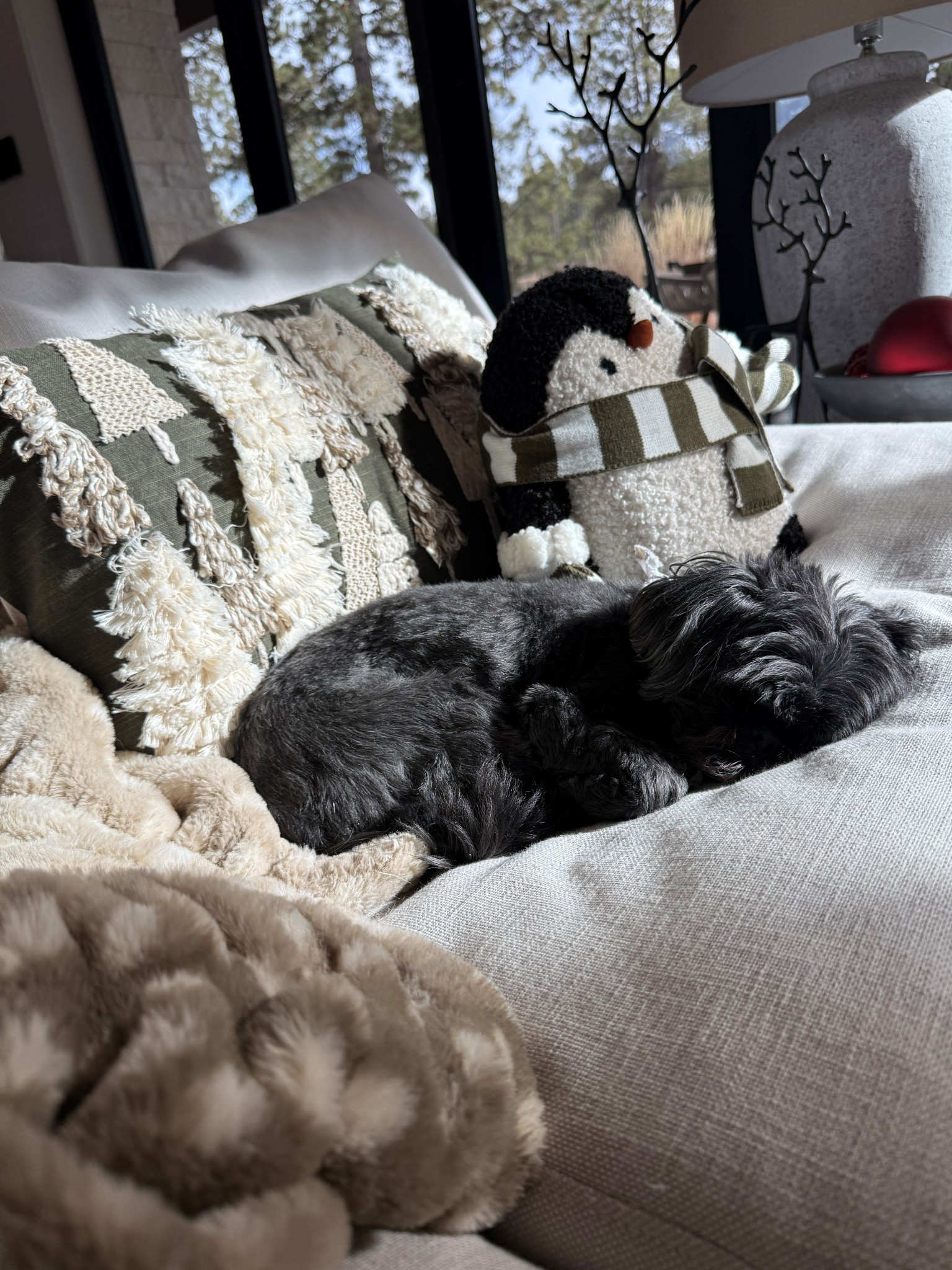 Cuddled up in all the Christmas pillows. I love a cute little animal pillow. I like that these can be used throughout winter and not just for Christmas.

#LTKHome #LTKSeasonal