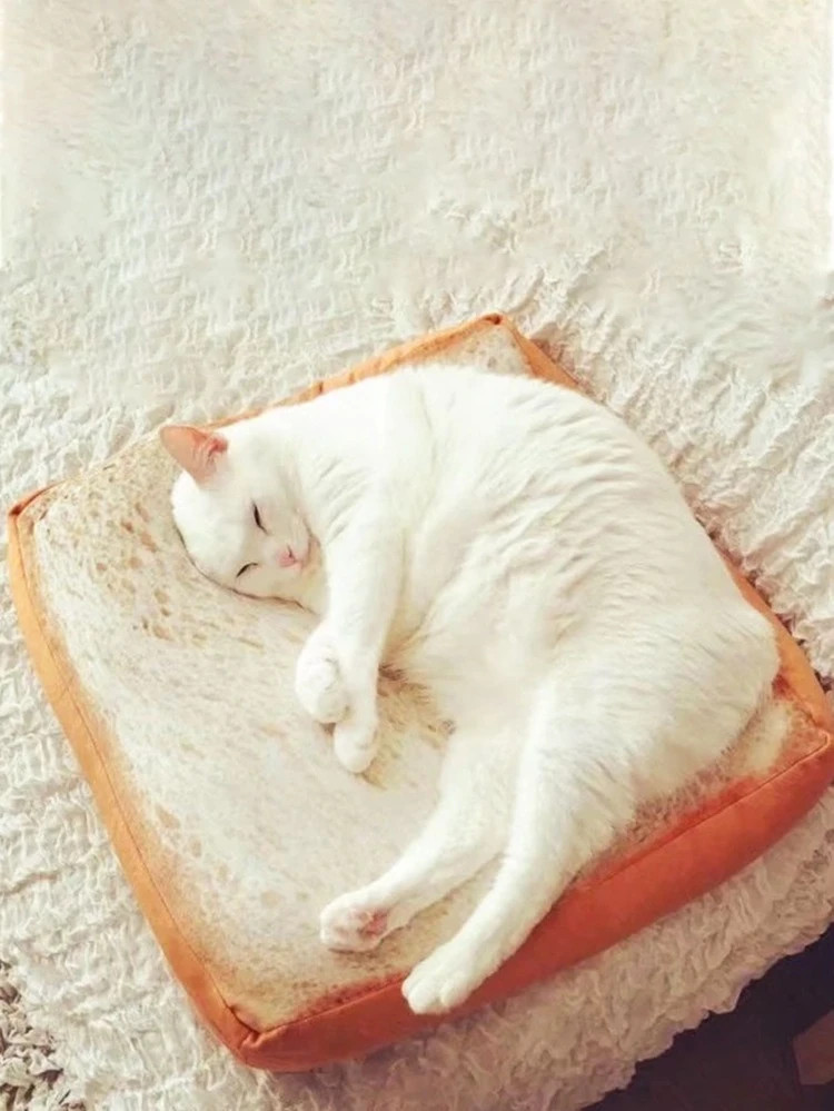 Toast Shaped Pet Mat | SHEIN