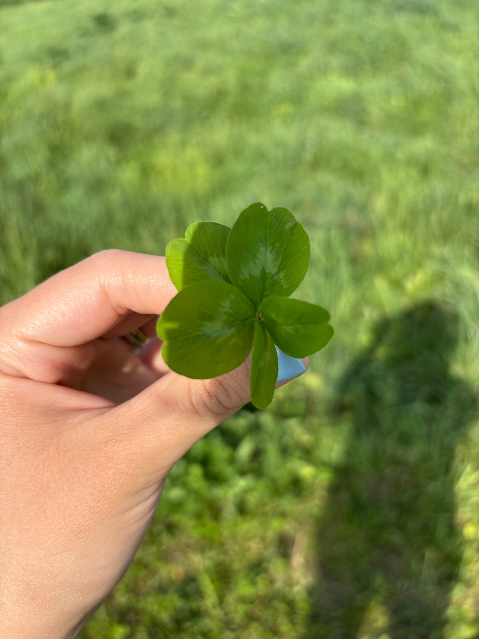 Iykyk 🍀 linking all my aerie favs for the LtK sale! And I’ll be sharing more tomorrow! Just enjoying our time while we have family in town!

#LTKxAerie #LTKMothersDay #LTKdayinmylife