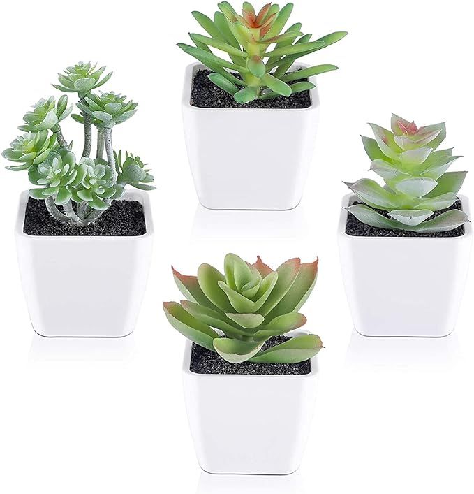 COCOBOO Artificial Faux Succulent Set of 4 Small Mini Potted Fake Succulent Plants for Desk, Shel... | Amazon (US)
