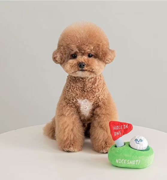 EYS Golf Hole In One Dog Plush Toy, Green - Chewy.com | Chewy.com