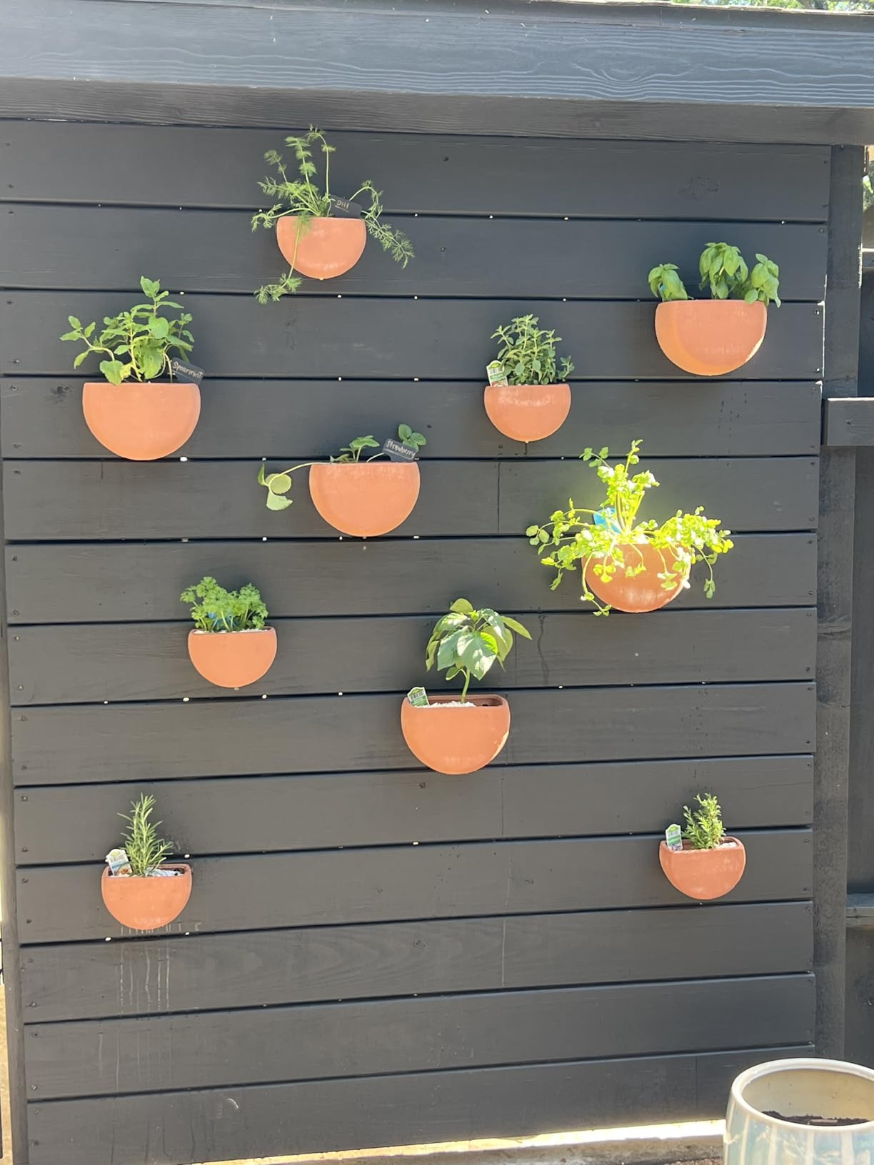 Main + Mesa Modern Boho Stoneware Wall Mount Planters, Terracotta, Set of 2 Sizes | Amazon (US)