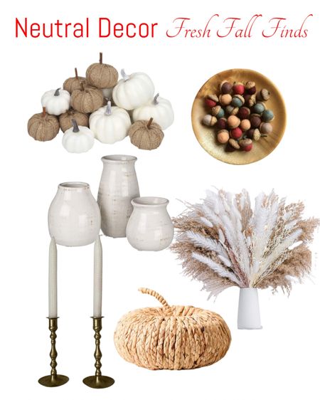 It’s almost fall y’all. Time for some new fall touches for your home. I love these neutral decor items.￼

#LTKhome #LTKSeasonal #LTKunder100