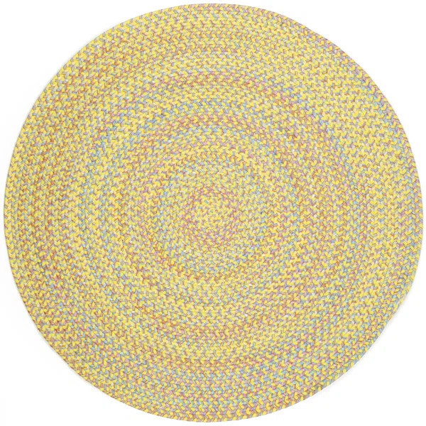 Berklee Abstract Handmade Braided Indoor / Outdoor Area Rug in Yellow | Wayfair North America