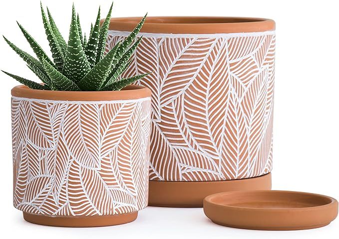 Set of 2 Terracotta Pots, Leaves Pattern Planter Pot, 4 Inch and 6 Inch, Pot with Drainage Hole a... | Amazon (US)