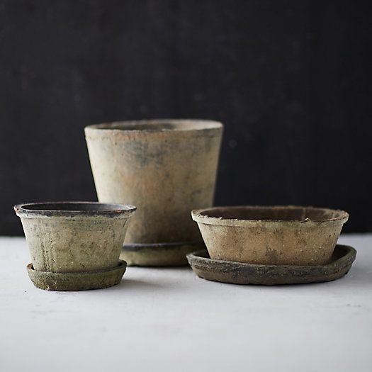 Earth Fired Clay Dish + Saucer, Set of 3 | Terrain