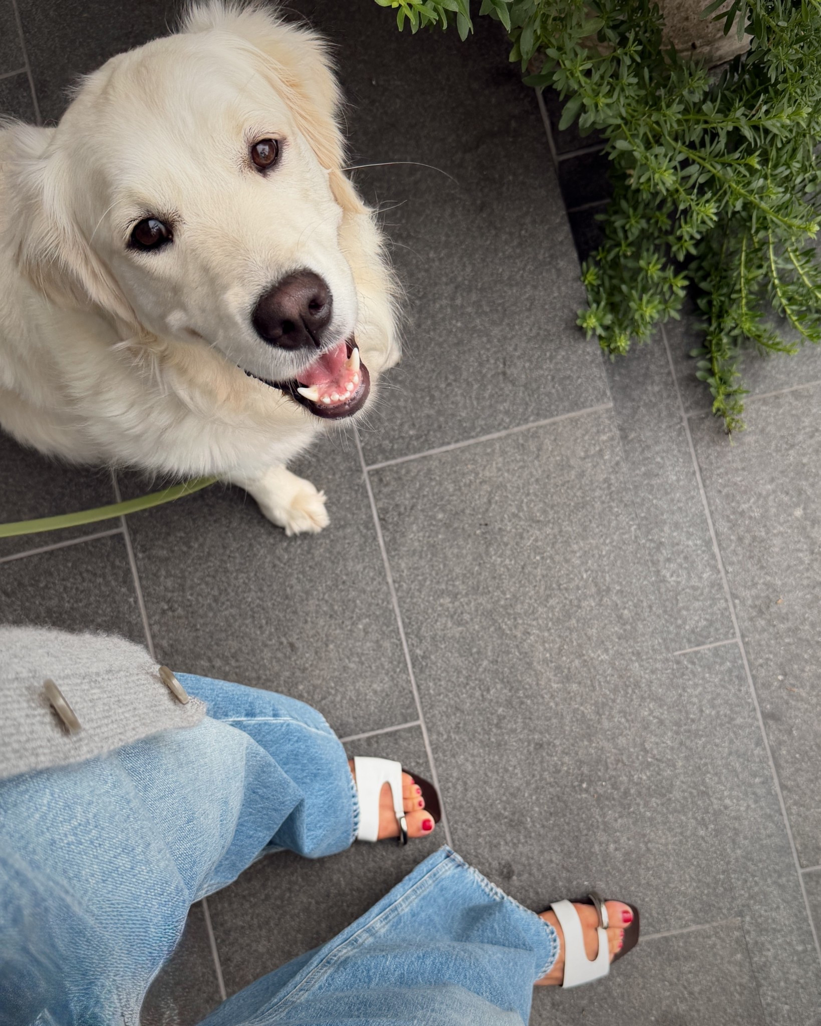 My designer slides are restocked and on sale! 🤍

#LTKOver40 #LTKSeasonal