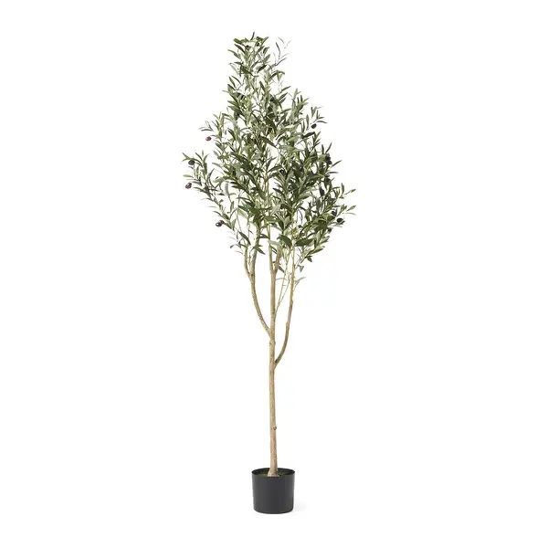Taos 4' x 1.5' Artificial Olive Tree by Christopher Knight Home - 6' x 2' | Bed Bath & Beyond