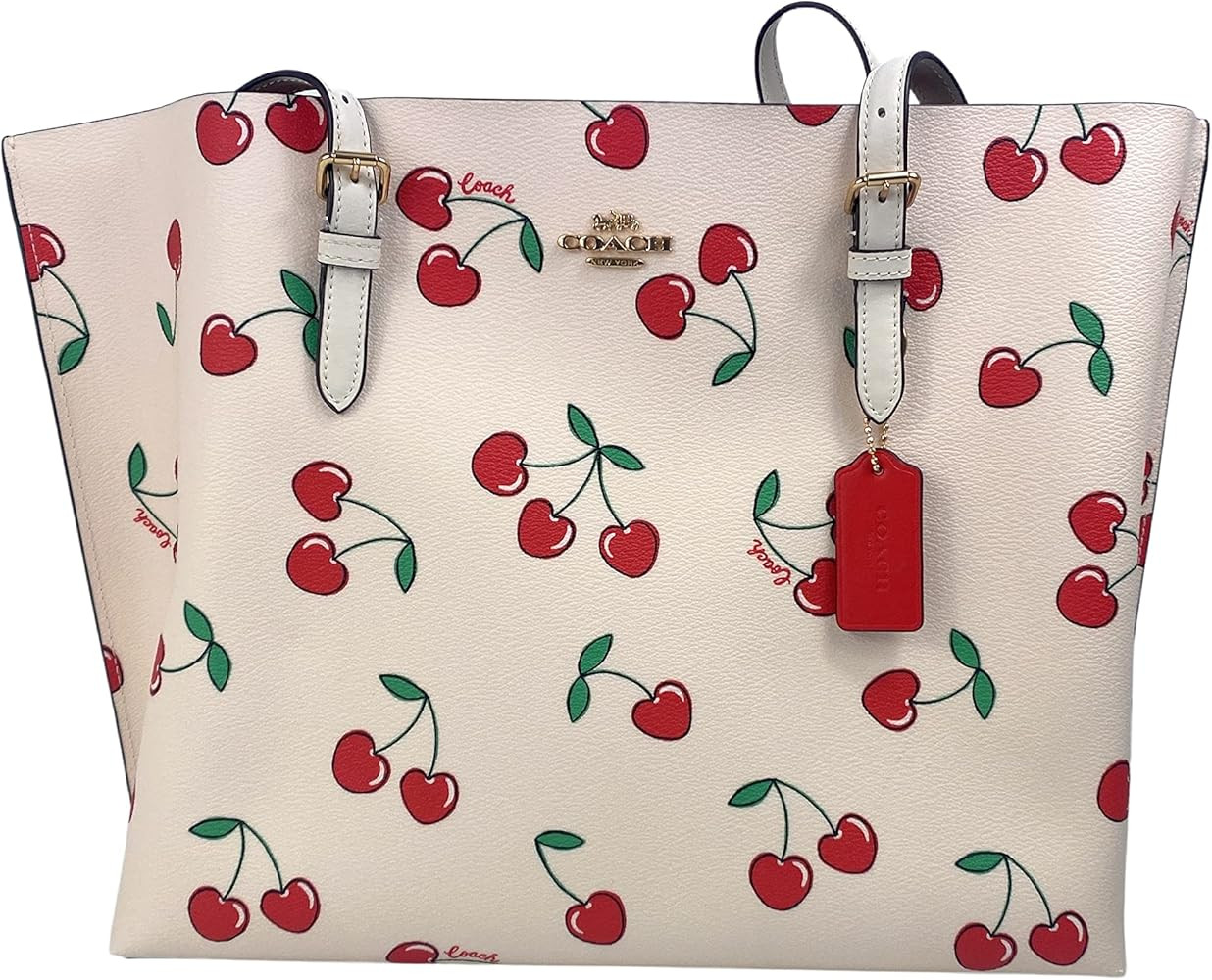 Coach Mollie Tote 1671 | Amazon (US)