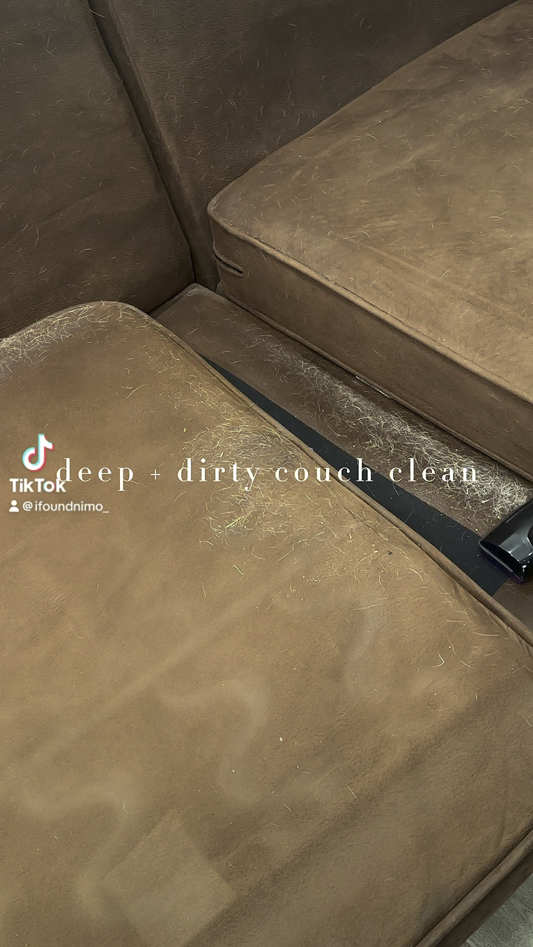 couch clean before the christmas decor 🐾🦮🐕‍🦺🐕🖤

#LTKHoliday #LTKFamily #LTKHome