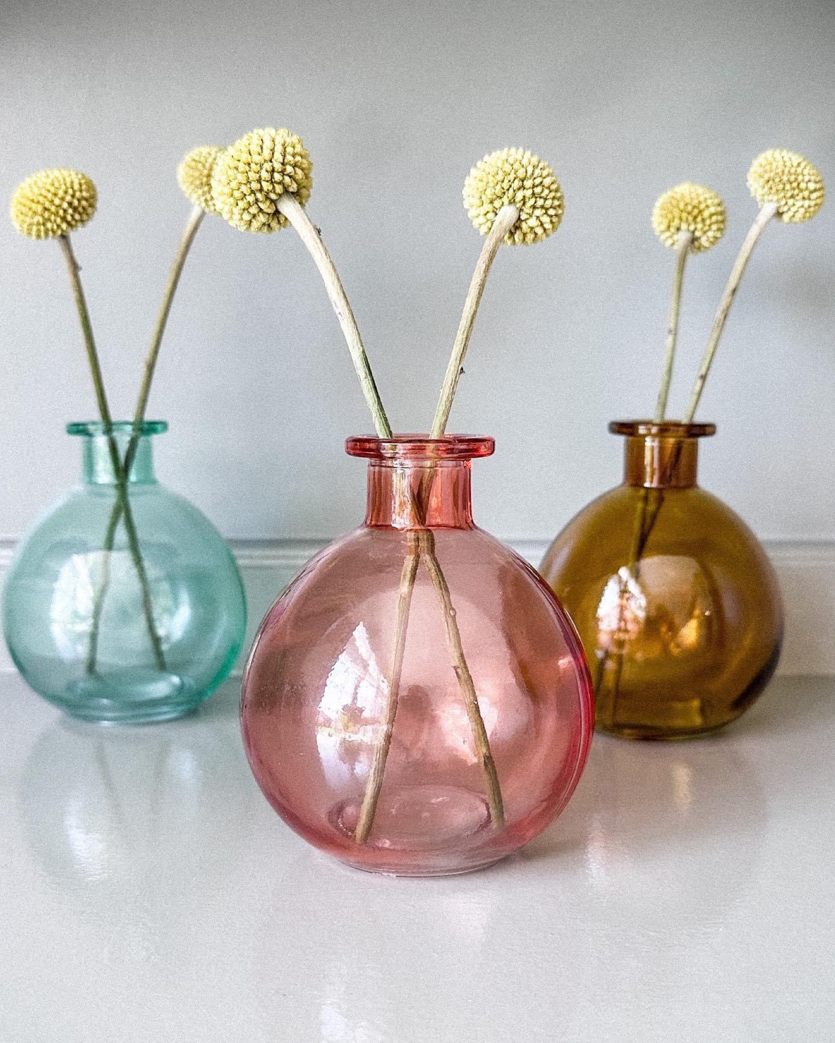 These tiny glass bottle vases are colorful and a perfect gift to give! I found the cutest little stems to put in them and it was a match made in heaven.  I love how this has dressed up my bookshelves - perfect and inexpensive solution for home decor! 

#LTKhome #LTKGiftGuide #LTKFind