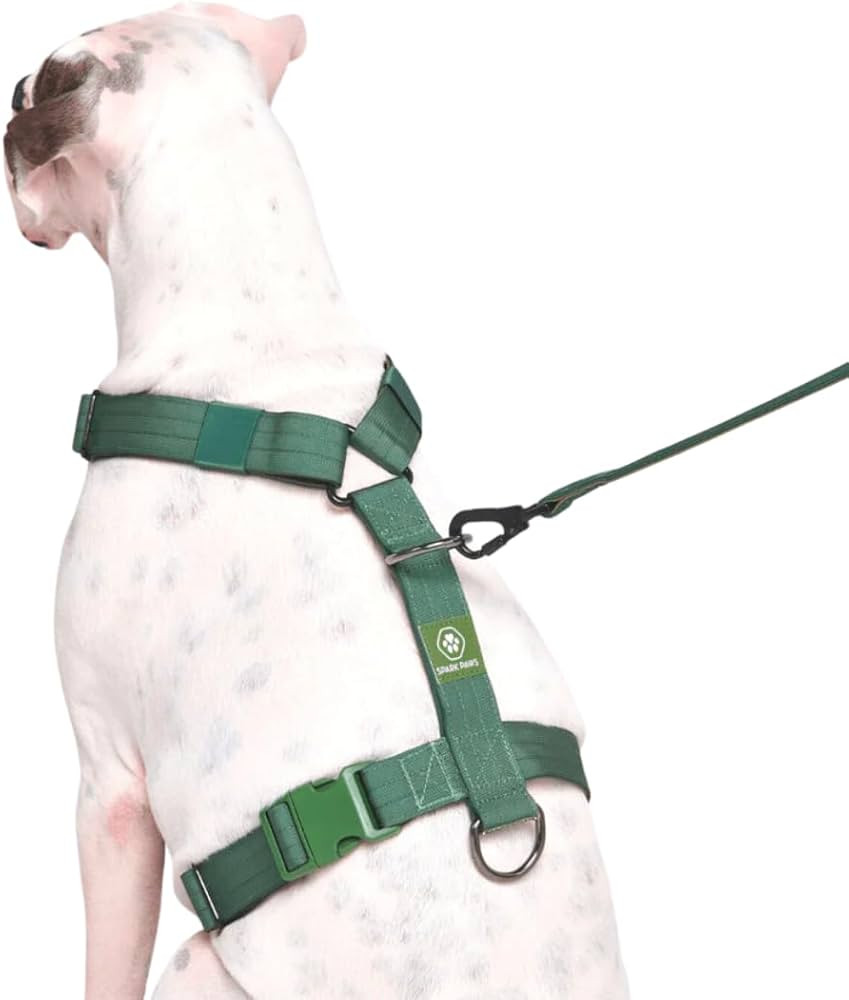 No-Pull Dog Harness - Designed for Safety and Control, Ideal for Large, Strong Breeds - Pitbulls,... | Amazon (US)