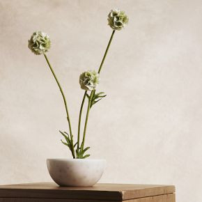 Faux Scabiosa Stem | West Elm (US)