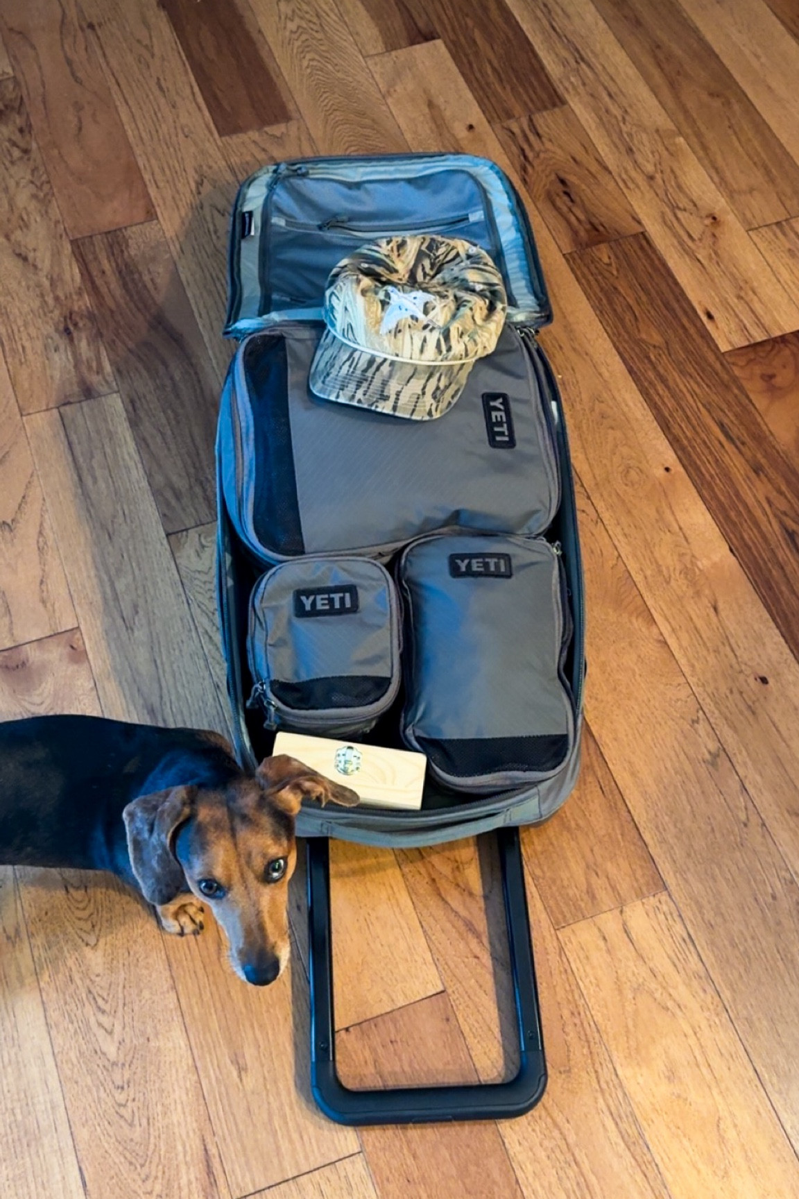 Love these packing cubes from YETI!

#LTKTravel #LTKItBag