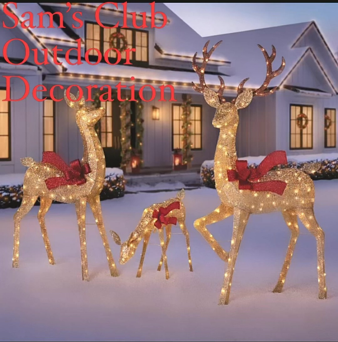 Christmas Coming!
Outdoor Christmas Decor!!
Sam’s Club. 
Beautiful! And Different!

#LTKHome #LTKSeasonal #LTKHoliday