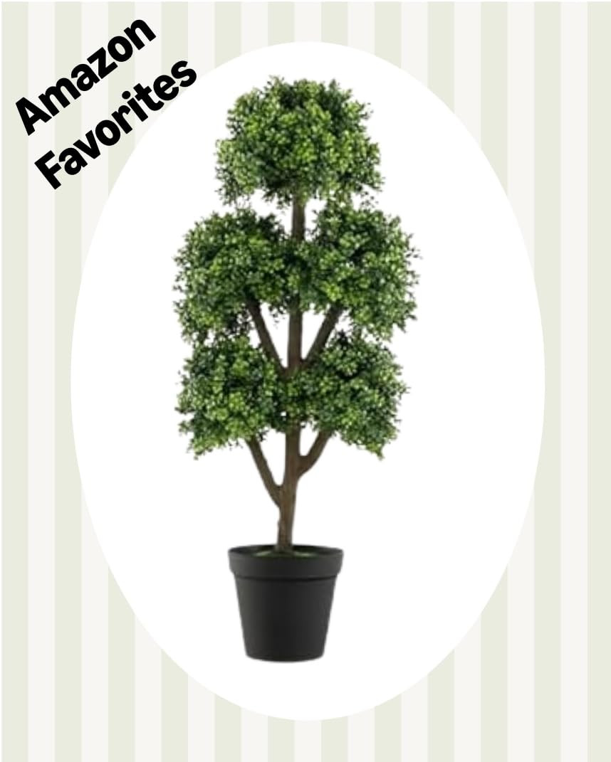 Amazon  | Amazon (US)