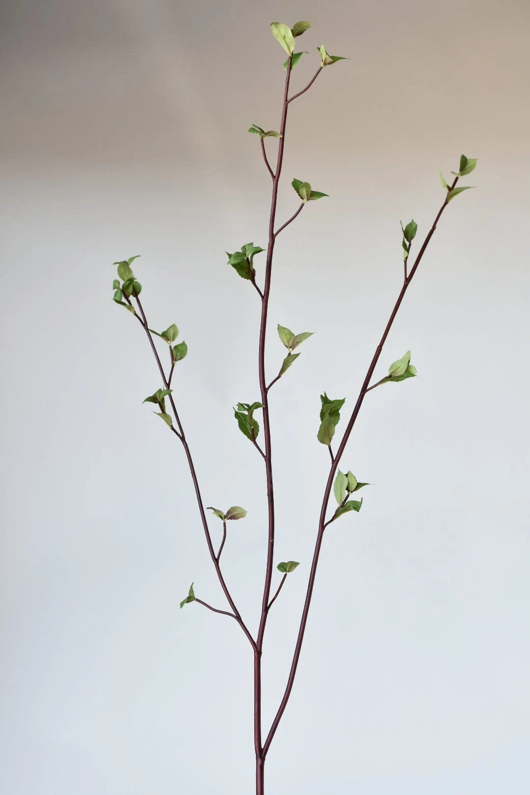 61" Faux Greenery Leaf Stem | Etsy (US)