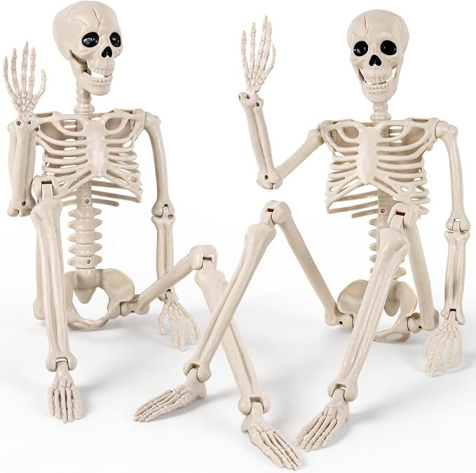 DWTS 2 Pack 36" Skeletons for Halloween - 3 Ft Life Size Human Skeleton with Full Body Movable Jo... | Amazon (US)