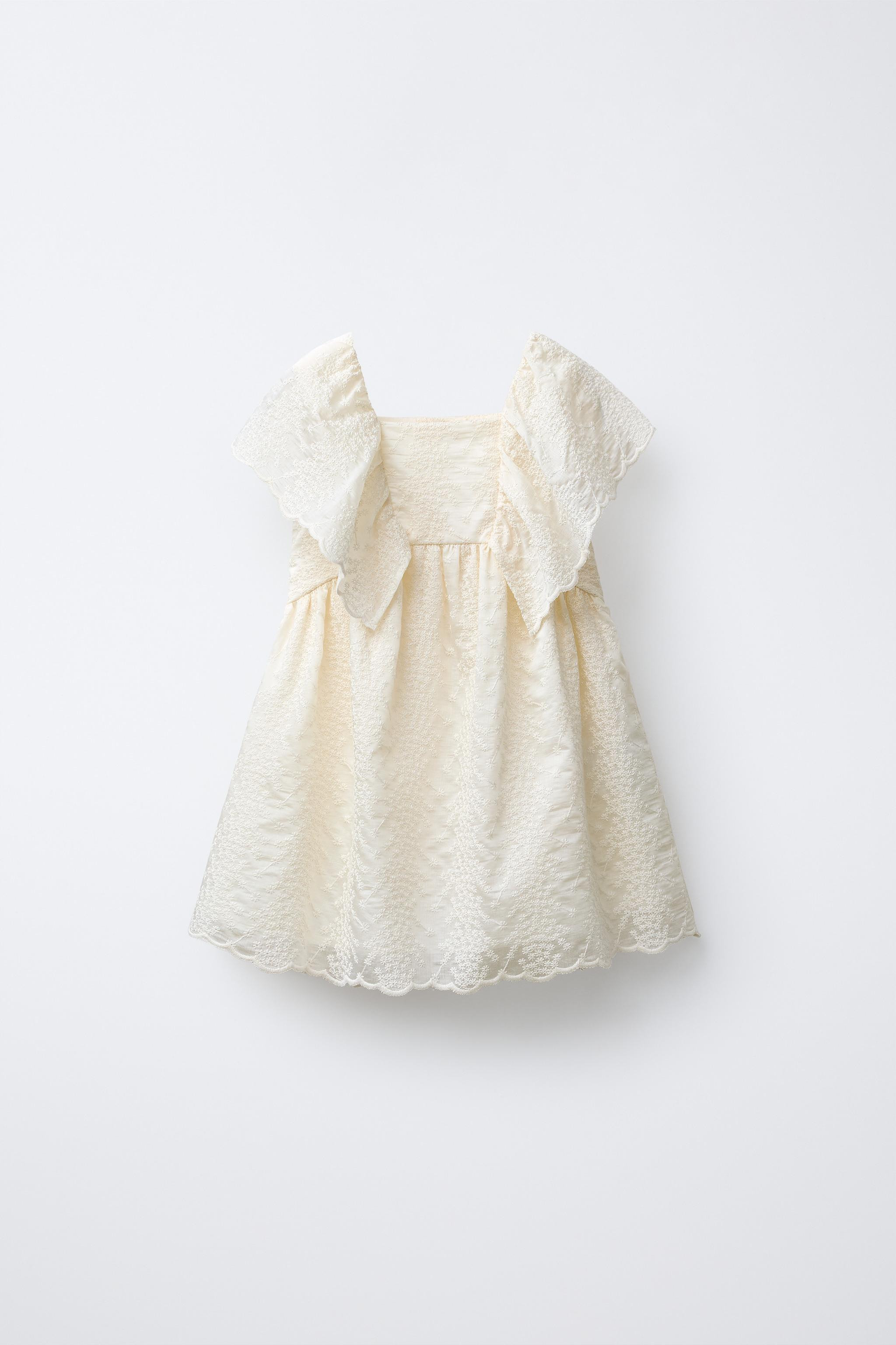 EMBROIDERED BUTTERFLY DRESS | Zara US